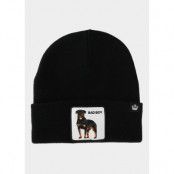 Naughty Hawty, Black, One Size,  Hattar