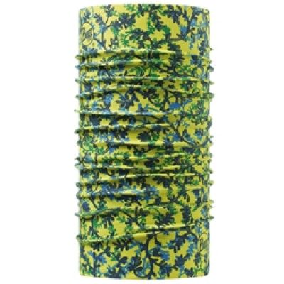 Original Buff Branches