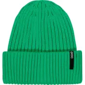 POC Poc Beanie Emerald Green