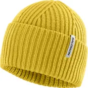 Salomon Snowbird Beanie Cress Green