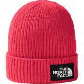 The North Face Kids' TNF Box Logo Cuff Beanie Radiant Poppy