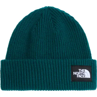 The North Face Salty Lined Beanie Pacific Teal