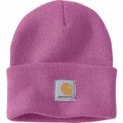 Carhartt Men's Watch Hat Thistle