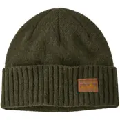 Patagonia Brodeo Beanie 73 Pine Needle Green Skyline