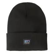 Patagonia Everyday Beanie Black