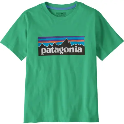 Patagonia Kids' P-6 Logo T-Shirt Aqua Stone