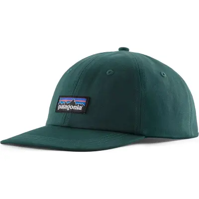 Patagonia P-6 Label Trad Cap Cascade Green