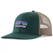 Patagonia P-6 Logo Trucker Hat Cascade Green
