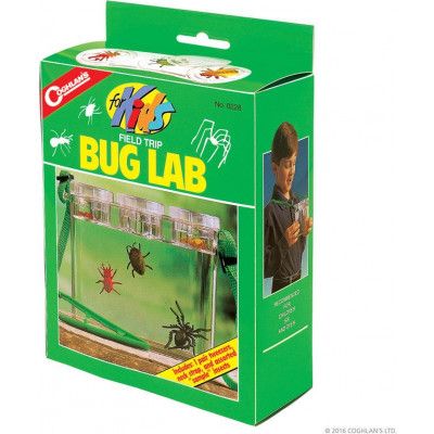 Field Trip Bug Lab For Kids