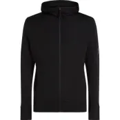 Icebreaker Men's Merino 260 Quantum Long Sleeve Zip Hoodie Black