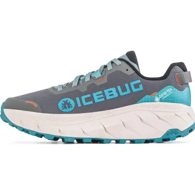 Icebug Men's Arcus 2 RB9X Gore-Tex Mistblue