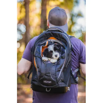 Kurgo G Train Pack Navy