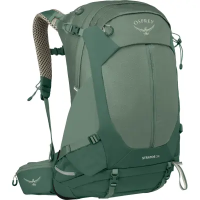 Osprey Men's Stratos 34 Pine Leaf Green