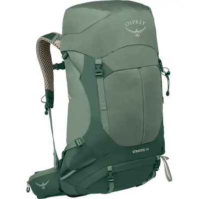 Osprey Men's Stratos 36 Pine Leaf Green