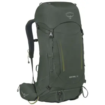 Osprey M's Kestrel 38L Bonsai Green