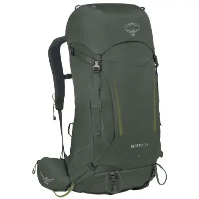 Osprey M's Kestrel 38L Bonsai Green