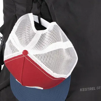 Osprey M's Kestrel 68L Bonsai Green