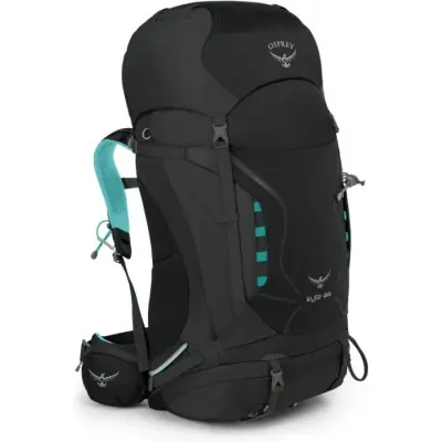Osprey W's Kyte 66L Grey Orchid