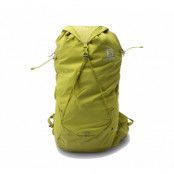 Out Day 22+4, Citronelle, M/L, Salomon
