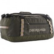 Patagonia Black Hole Duffel 40L Pine Needle Green