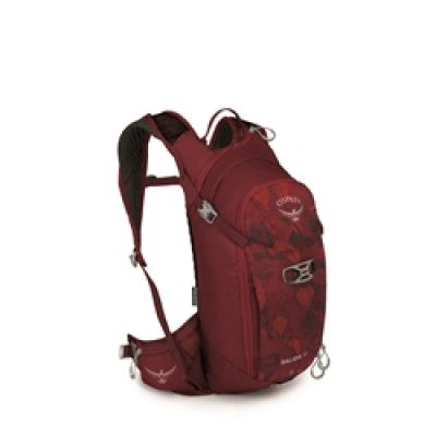 Osprey Salida 12