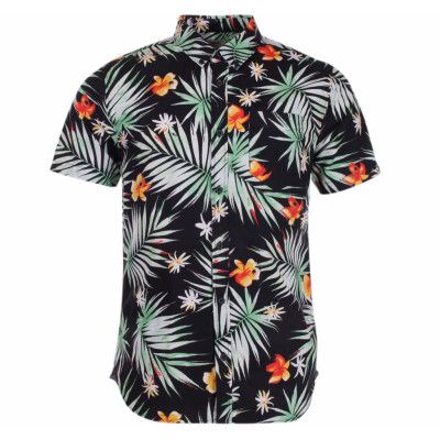 Daintree, Black Decay Palm, Xl,  Vans