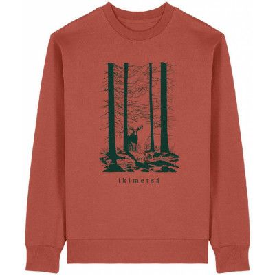 Metsä/Skogen College Hirvi