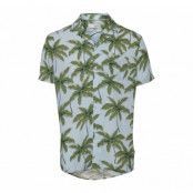 Sdspencer, Skyway, 3xl,  Solid