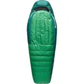 Sea To Summit Ascent -9C/15F Rain Forest Green