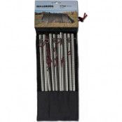 Hilleberg X-peg  Silver