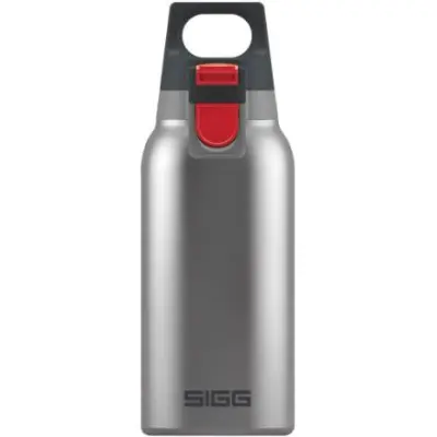 Sigg 0,3 Hot&Cold One Brushed