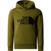 The North Face Boys' Drew Peak Hoodie Forest Olive