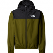 The North Face Boys' Never Stop Hooded WindWall Jacket Forest Olive