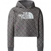The North Face Girls' Light Drew Peak Printed Hoodie Smoked Pearl TNF Shadow