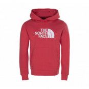 M Drew Peak Pullover Hoodie, Rococco Red, Xxlt, The North Face