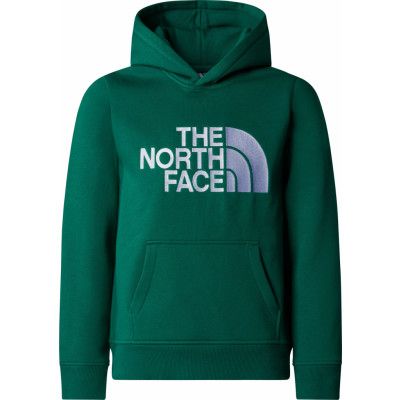 The North Face Boys' Drew Peak Hoodie Evergreen