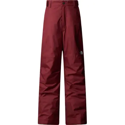 The North Face Boys' Freedom Insulated Pant Sumac