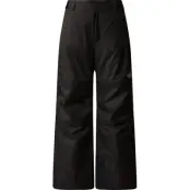 The North Face Boys' Freedom Insulated Pant TNF Black