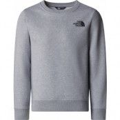 The North Face Juniors' Redbox Regular Crew TNF Light Grey Heather