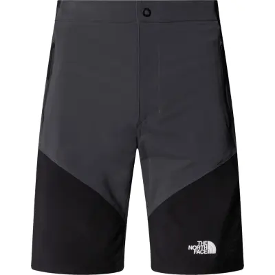 The North Face Men's Felik Slim Tapered Shorts Asphalt Grey/TNF Black/NPF