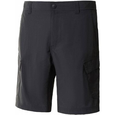 The North Face Men's Horizon shorts