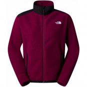 The North Face Women's Alp Polartech 200 Full Zip Jacket