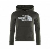 Y Drew Peak P/O Hd, New Taupe Green-Tnf White, M, The North Face