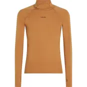 Icebreaker Men's Merino 300 Merinofine™  Polar Long Sleeve Roll Neck Trail