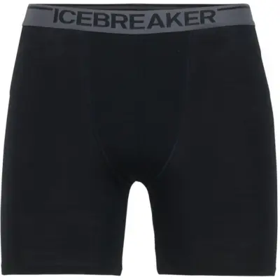 Icebreaker M's Anatomica Long Boxer Black