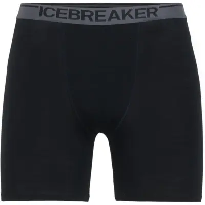 Icebreaker M's Anatomica Long Boxer Black