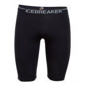 Icebreaker Zone Shorts