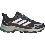 Adidas Men´s Terrex Skychaser Ax5 GORE-TEX  Legink/wonwhi/shaoli
