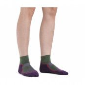 Darn Tough Light Hiker 1/4 Lightweight Cushion Socks Women Moss