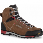 Dolomite Men's 54 Hike Evo GORE-TEX Bronze Brown